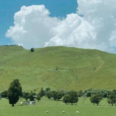 博鱼官方体育登录入口