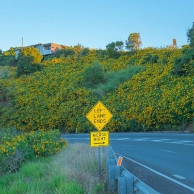 万博手机版max网页版