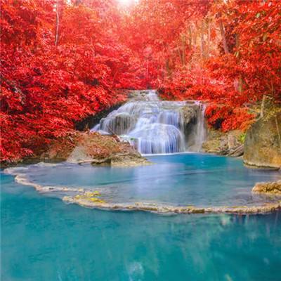 一分三快appapp下载