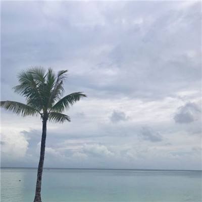 AG官方平台下载地址下载手机版