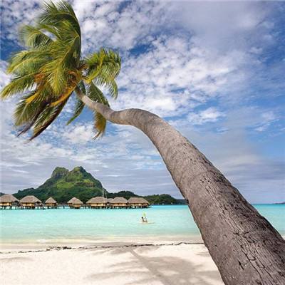 小罗代言米乐体育app