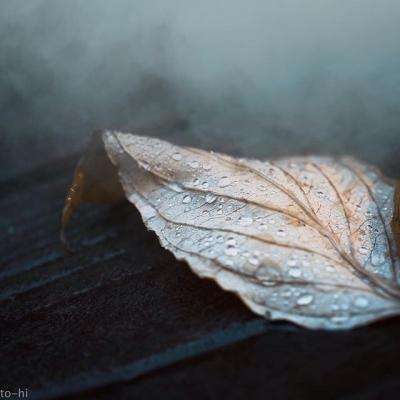 一码一肖100准资料应用手机app下载